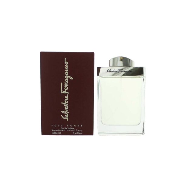 Men EDT Spray by Salvatore Ferragamo (100ml)