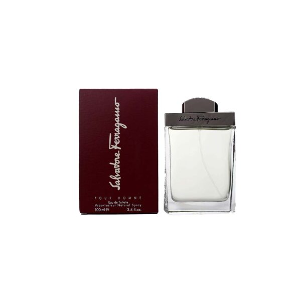 Pour Homme EDT Spray by Salvatore Ferragmo (100ml)