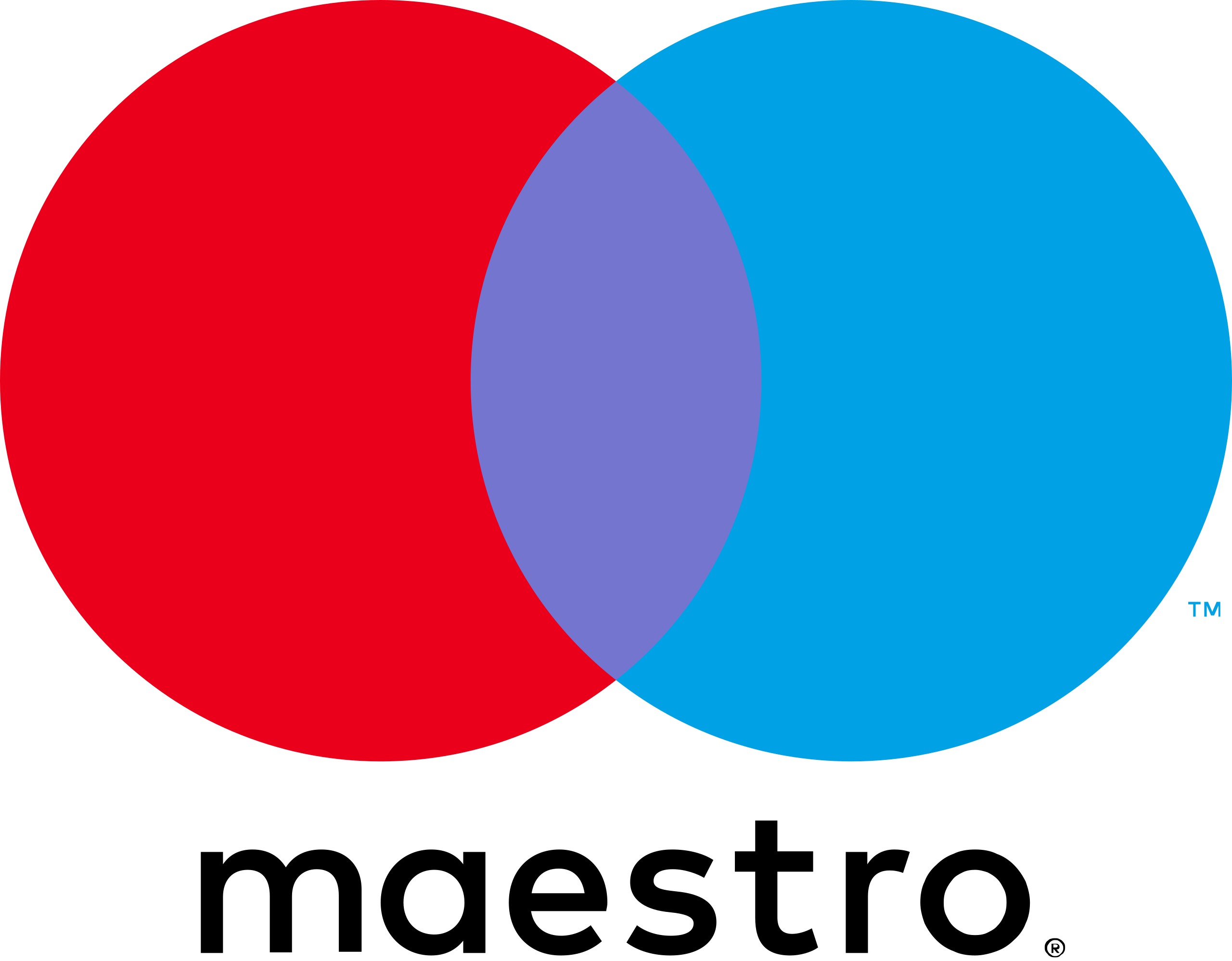 Maestro_2016.svg (1)