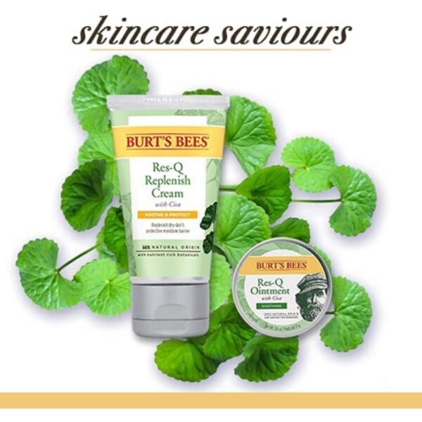 100% Natural Origin Multipurpose Res-Q Ointment with Cica by Burt's Bees - 15g